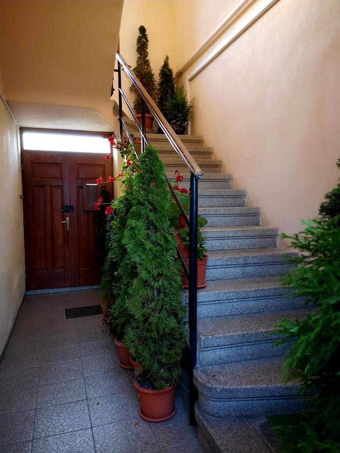 Villa Casa Ioana Μπρασόβ Εξωτερικό φωτογραφία