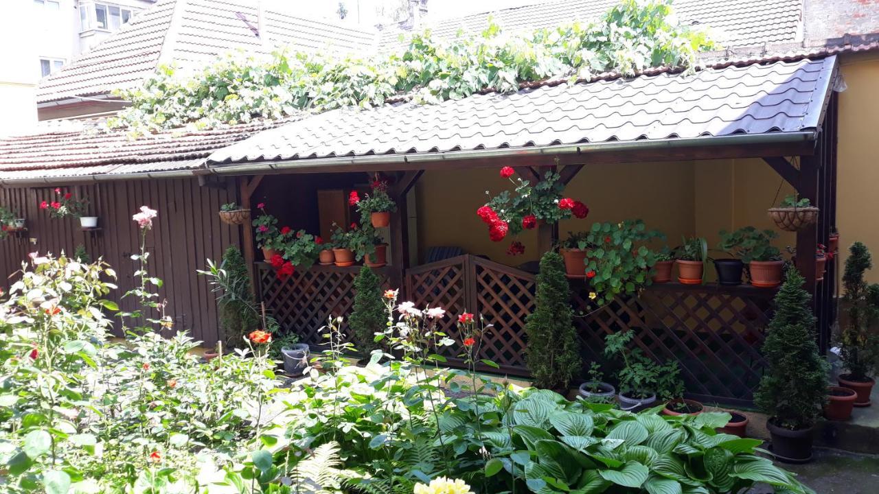 Villa Casa Ioana Μπρασόβ Εξωτερικό φωτογραφία