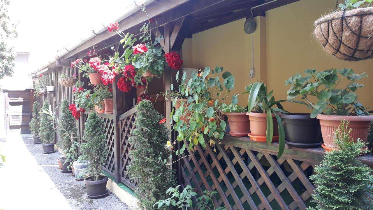 Villa Casa Ioana Μπρασόβ Εξωτερικό φωτογραφία