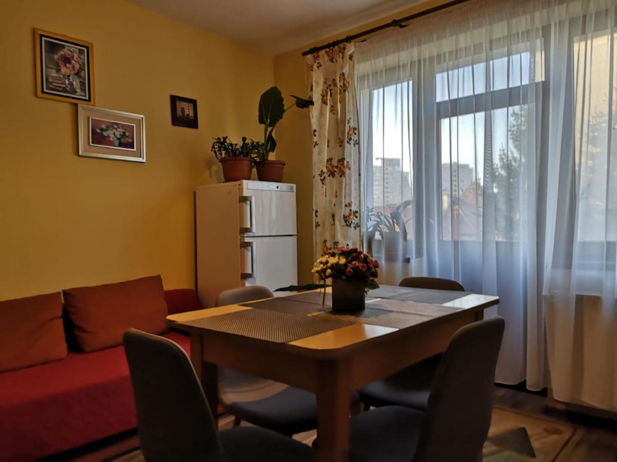 Villa Casa Ioana Μπρασόβ Δωμάτιο φωτογραφία