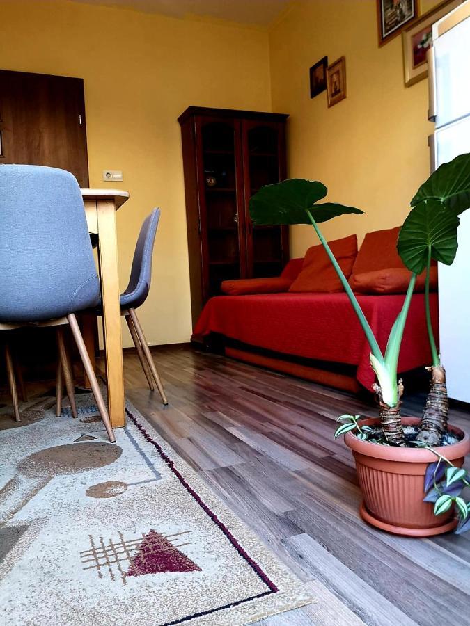 Villa Casa Ioana Μπρασόβ Δωμάτιο φωτογραφία