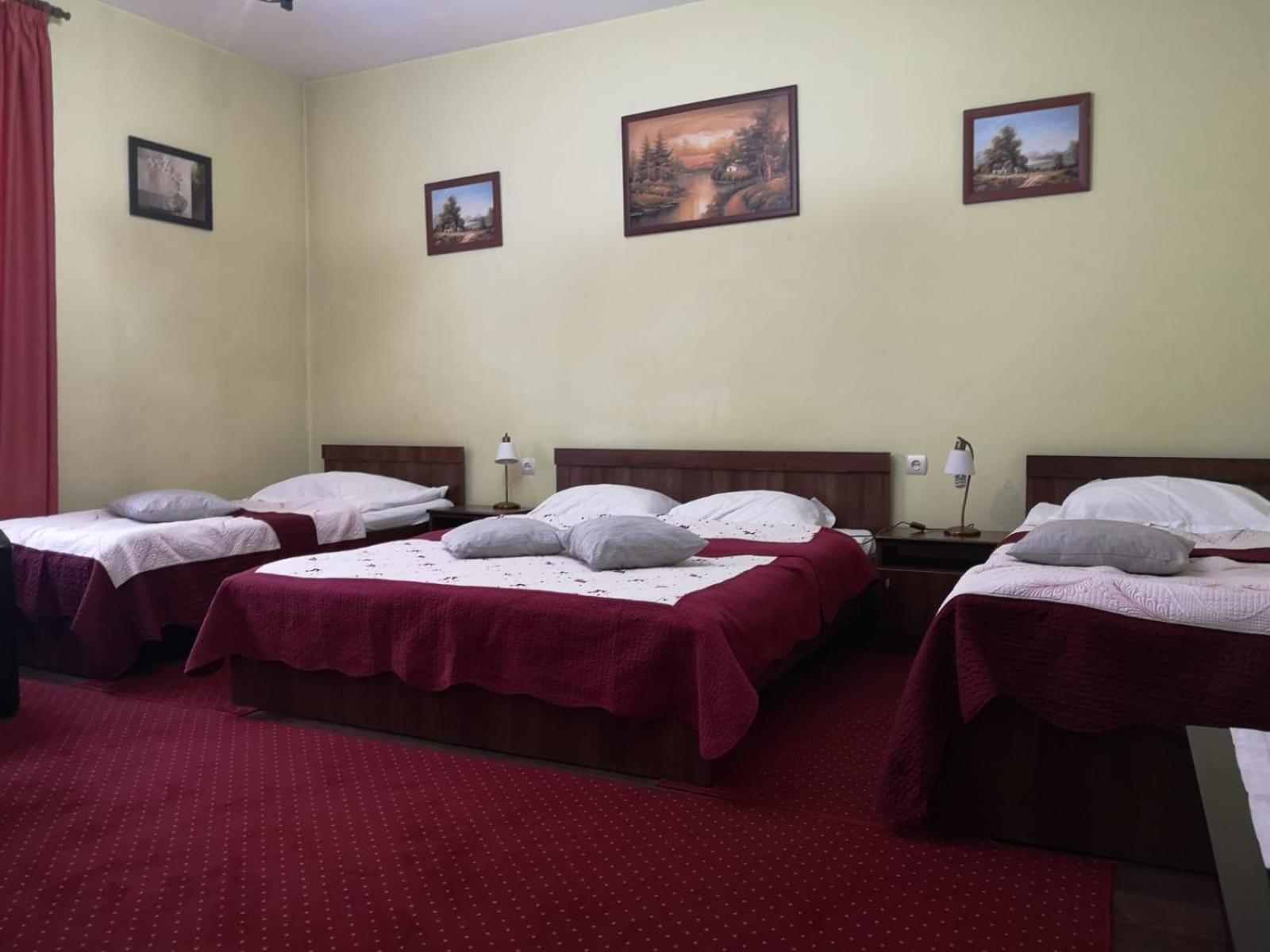 Villa Casa Ioana Μπρασόβ Δωμάτιο φωτογραφία