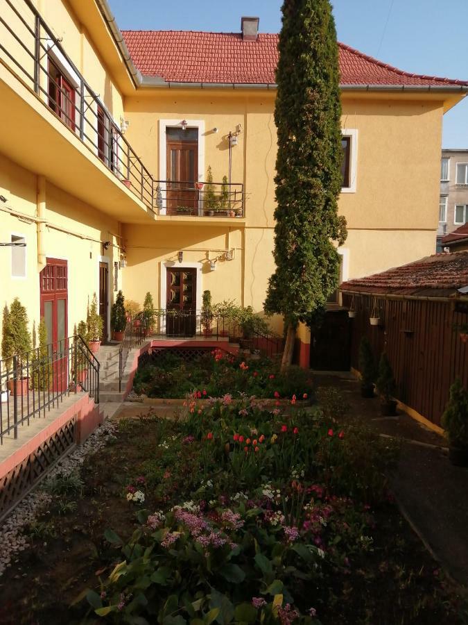 Villa Casa Ioana Μπρασόβ Εξωτερικό φωτογραφία
